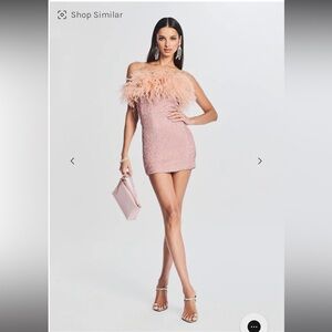 Retrofete Torin Sequin Feather Dress